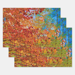 Feuille De Papier Cadeau L'automne laisse le ciel bleu orangé d'automne col