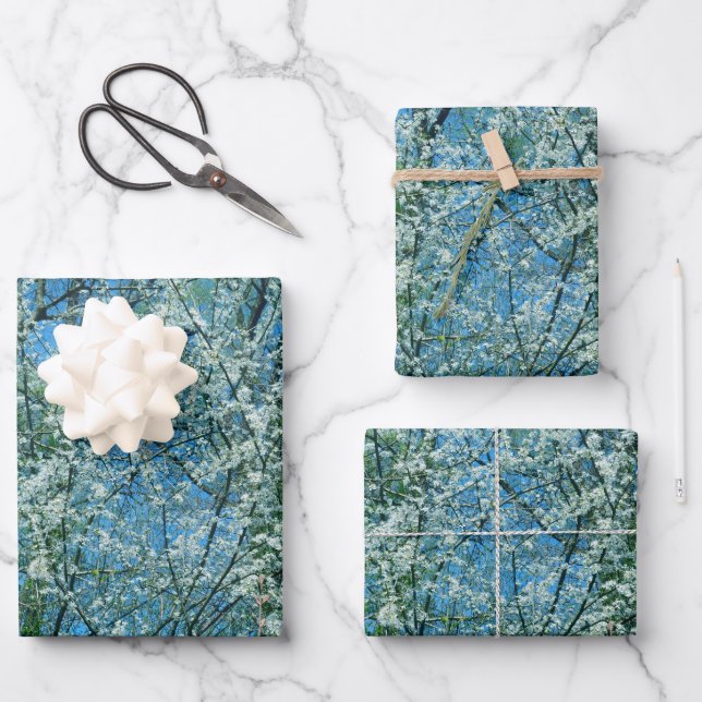Feuille De Papier Cadeau Le prunier sauvage en fleurs (Recto)