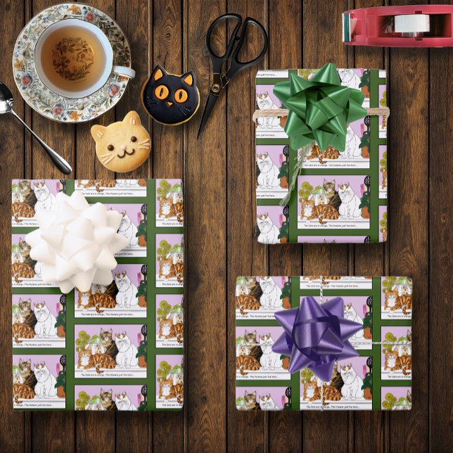 Feuille De Papier Cadeau Les chats sont en charge (Créateur téléchargé)