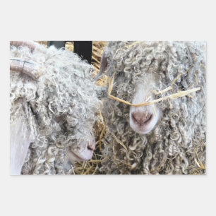 FEUILLE DE PAPIER CADEAU LES CHÈTES FRAÎCHES