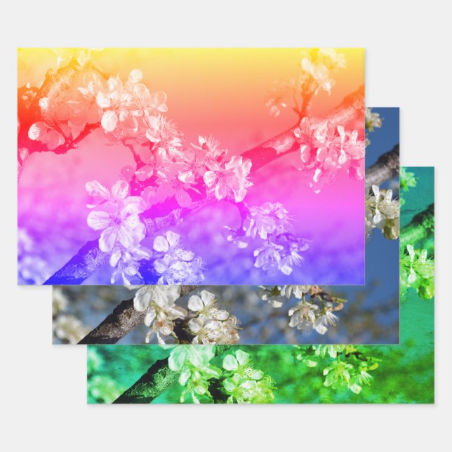 Feuille De Papier Cadeau Les fleurs blanches de prune au printemps (Lot)