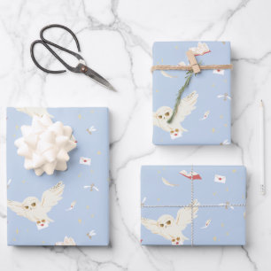 Feuille De Papier Cadeau Lettres et Livres de la Poste au Hibou Hedwige Mod