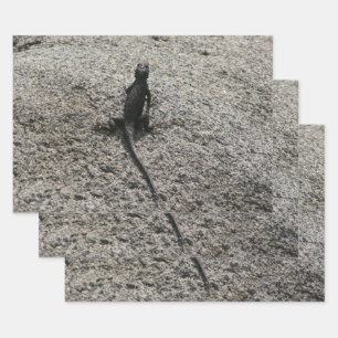 Feuille De Papier Cadeau Lizard noir