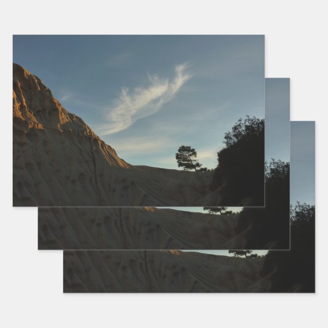 Feuille De Papier Cadeau Lone Torrey Pine Californie Sunset Paysage (Lot)