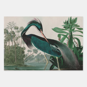 Feuille De Papier Cadeau Louisiane Heron Birds of America Audubon Print