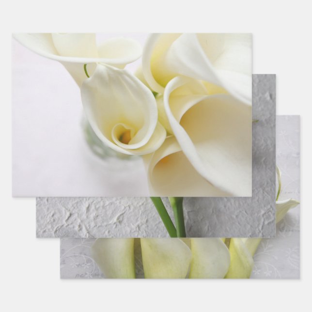 Feuille De Papier Cadeau Lys calla frais (Lot)