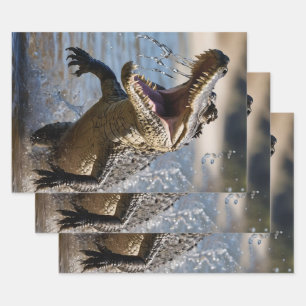 Feuille De Papier Cadeau Mâchoires effrayantes : Crocodile australien sauta