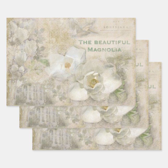 Feuille De Papier Cadeau Magnifique Magnolia Vintage Collage (Lot)