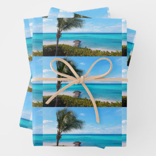 Feuille De Papier Cadeau Magnifique motif d'arbre de palme tropical balayé 