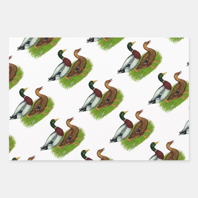 Feuille De Papier Cadeau Mallard Drake et Duck (Devant 3)