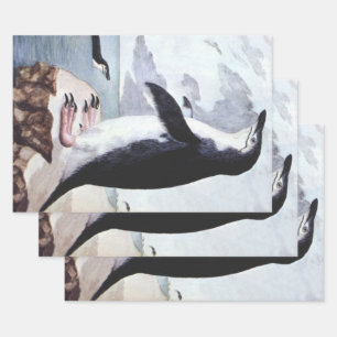 Feuille De Papier Cadeau Manchot à jugulaire, Oiseaux d'Antarctique d'autre