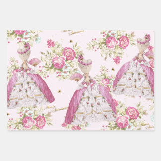 Feuille De Papier Cadeau Marie Antoinette Pink Floral Roses