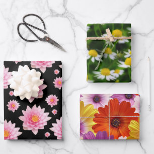 Feuille De Papier Cadeau Médaille colorée de marguerites africaines Fleurs