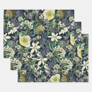 Feuille De Papier Cadeau Midnight Floral Vintage Botanique Grand Cadeau