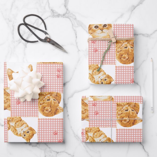 Feuille De Papier Cadeau mignon tabby chat plaid patchwork rose motif (Recto)