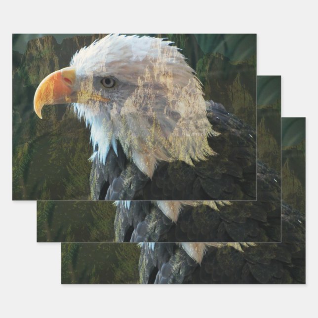 Feuille De Papier Cadeau Montagne de l'Aigle royal (Lot)
