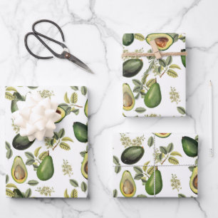Feuille De Papier Cadeau Motif botanique Aquarelle Avocado
