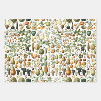 Feuille De Papier Cadeau Motif de fruits de l'Adolphe Millot