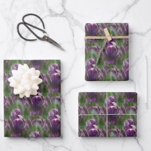 Feuille De Papier Cadeau Motif de la nature des fleurs de tulipe violet