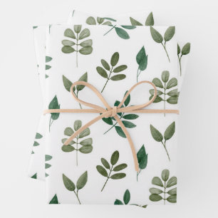 Feuille De Papier Cadeau Motif de verdure aquarelle. Botanique