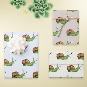 Feuille De Papier Cadeau Motif d'escargot mou