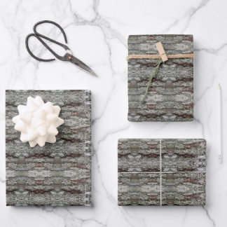 Feuille De Papier Cadeau Motif Écorce d'Arbre de Royaume
