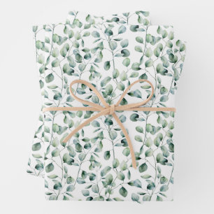 Feuille De Papier Cadeau Motif Eucalyptus aquarelle