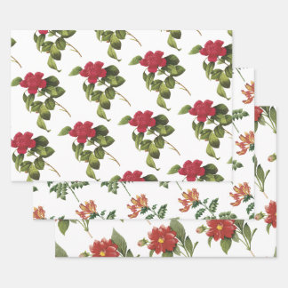 Feuille De Papier Cadeau Motif floral