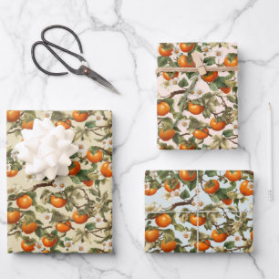 Feuille De Papier Cadeau Motif Persimmons