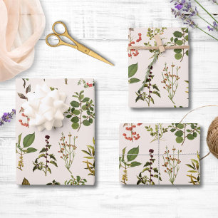 Feuille De Papier Cadeau Motif Plante vintage Herbarium Green