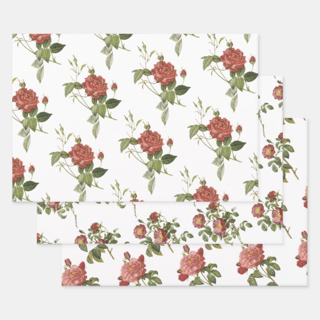 Feuille De Papier Cadeau Motif Rose Rouge (Lot)