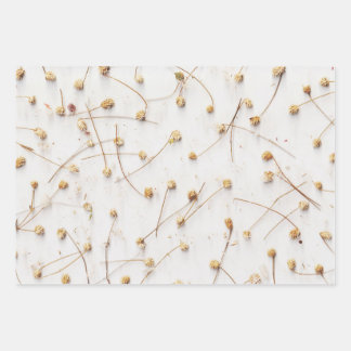 Feuille De Papier Cadeau Motifs plantes séchés pour mariages et cadeaux