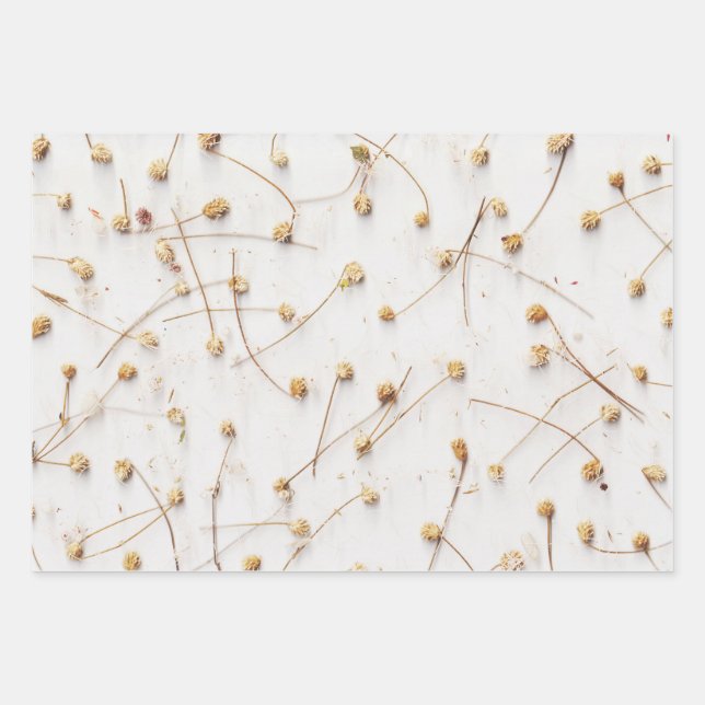 Feuille De Papier Cadeau Motifs plantes séchés pour mariages et cadeaux (Devant 3)