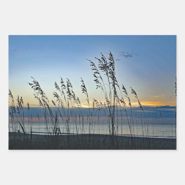 Feuille De Papier Cadeau Myrtle Beach Grass Sunrise Photo (Devant)