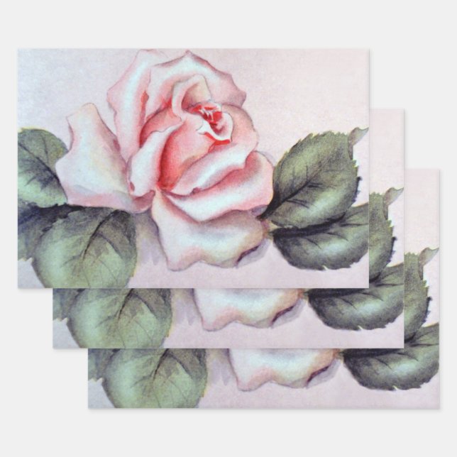 Feuille De Papier Cadeau Natalie Rose (Lot)