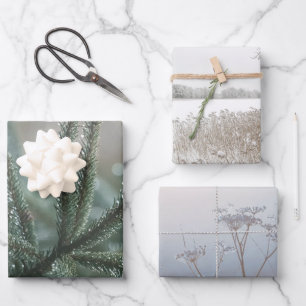 Feuille De Papier Cadeau Nature hivernale, ensemble de 3 photos d'art diffé