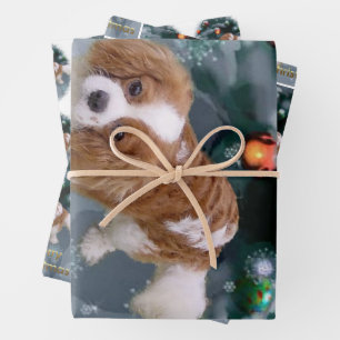 Feuille De Papier Cadeau Noël Cavalier King Charles Spaniel