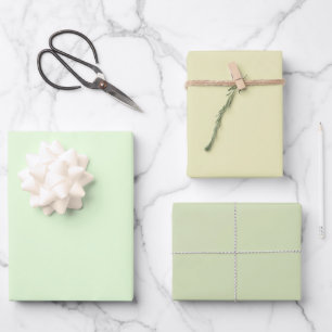 Feuille De Papier Cadeau Nyanza clair Gin pâle Vert Shades 3 Tons