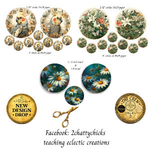 Feuille De Papier Cadeau Oiseaux Floraux Daisies cercles de 12 pouces & des