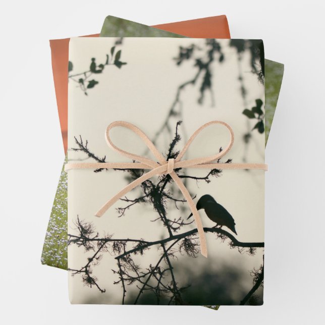 Feuille De Papier Cadeau Oiseaux Tropicaux (En situation)
