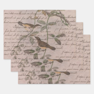 Feuille De Papier Cadeau Oiseaux vintages sur les branches avec écriture