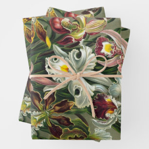 Feuille De Papier Cadeau Orchidées d'Ernst Haeckel, fleurs vintage de la fo