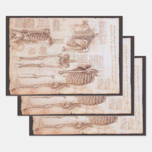 Feuille De Papier Cadeau Os de squelette de Léonard de Vinci, anatomie huma