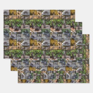 Feuille De Papier Cadeau **"Otterly Adorable : Un collage photo de Otters