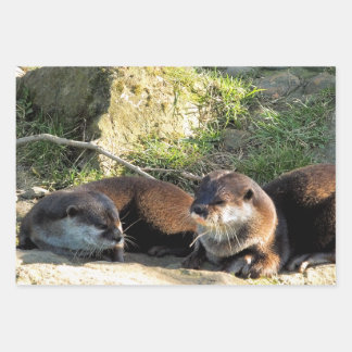 FEUILLE DE PAPIER CADEAU OTTERS