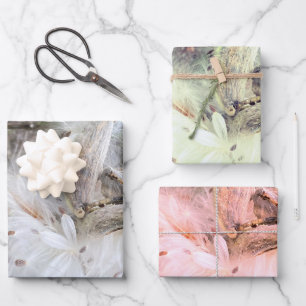 Feuille De Papier Cadeau Ouvrir les pots d'algues Graines avec soie