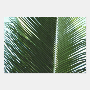 Feuille De Papier Cadeau Overlapping Palm Fronds Tropical Green Abstract