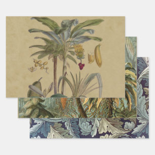 Feuille De Papier Cadeau Palm Antique Fruit Tropical Art Botanique