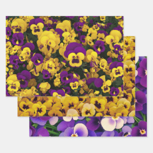 Feuille De Papier Cadeau Pansies jaune et violet