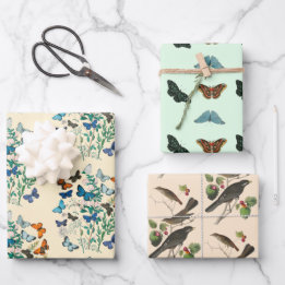 Feuille De Papier Cadeau Papillon floral vintage motif vert rose